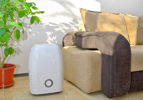 Portable dehumidifier colect water from air