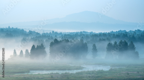 Misty dawn on the river, forest hiding in the fog