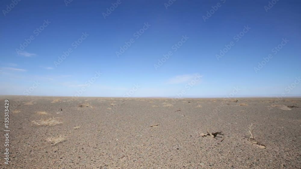 Panorama of the Mongolian landscape Panorama of the Mongolian landscape