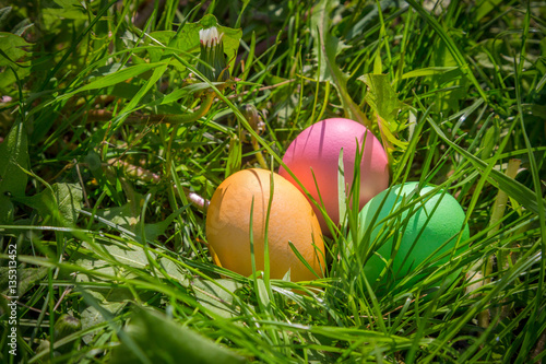background with colorful easter eggs on lawn