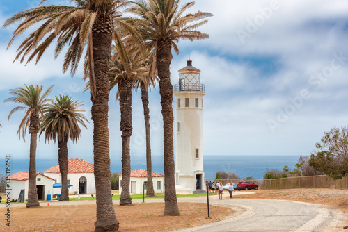Palm trees on California coast and Point Vicente Lighthouse, Los Angeles, California.
