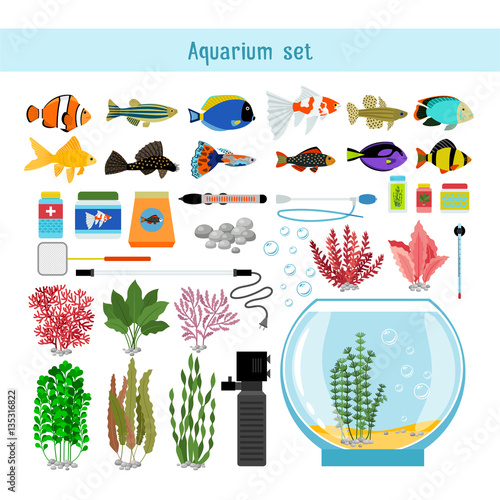 Aquarium underwater vector elements, corals and stones isolated on white background