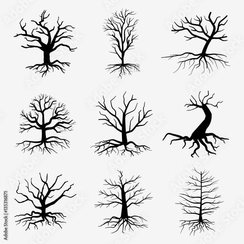 Old dark trees with roots. Vector dead forest