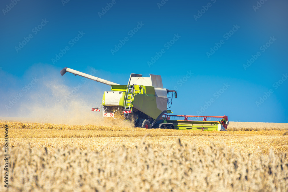 Obraz premium Mähdrescher auf Feld