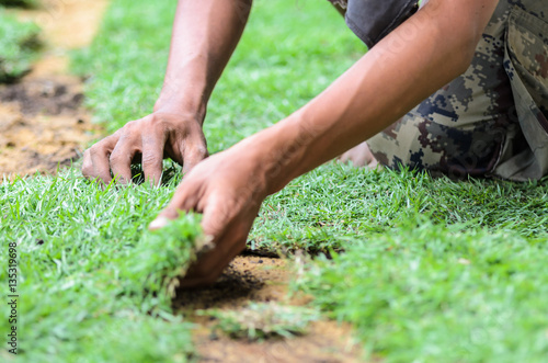 Worker unrolling laying sod for new grass