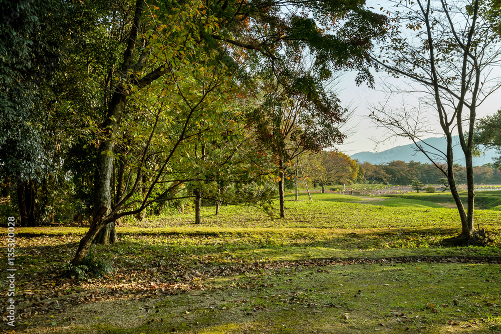 京都　庭園の風景