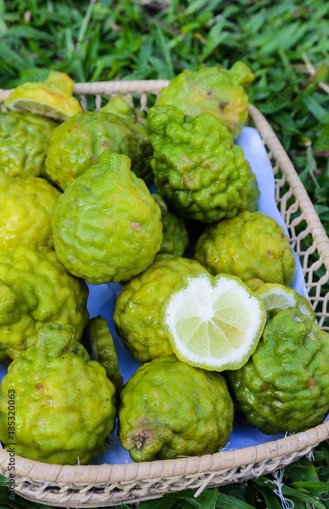 Obraz premium the bergamot