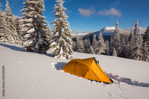 Bright yellow tent at alpine meadow among the snow-covered firs
