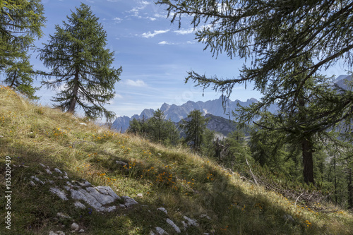 Auf der Sleme, Slowenien photo