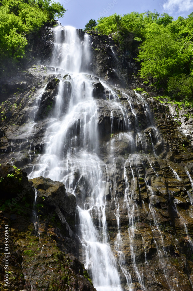 Fototapeta premium water
