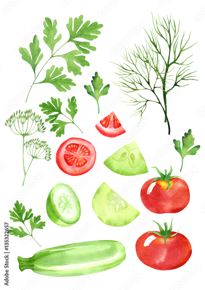 Plakat design set of dill, cucumbers, tomatoes, salad and parsley isolated in watercolor style. vegetable background on white