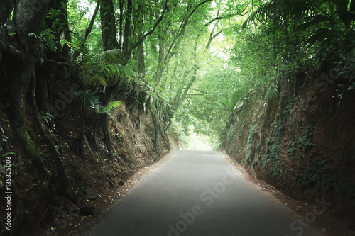 road in jungle of Seychelles