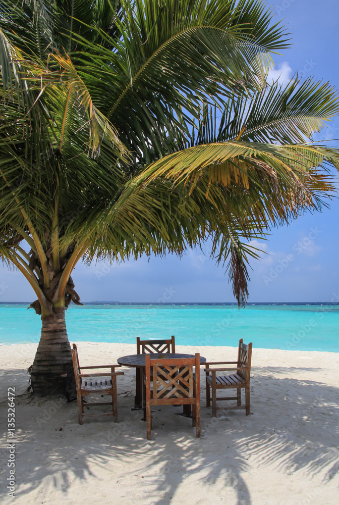 Wooden table and chairs under the palm on the tropical paradise, Maldives