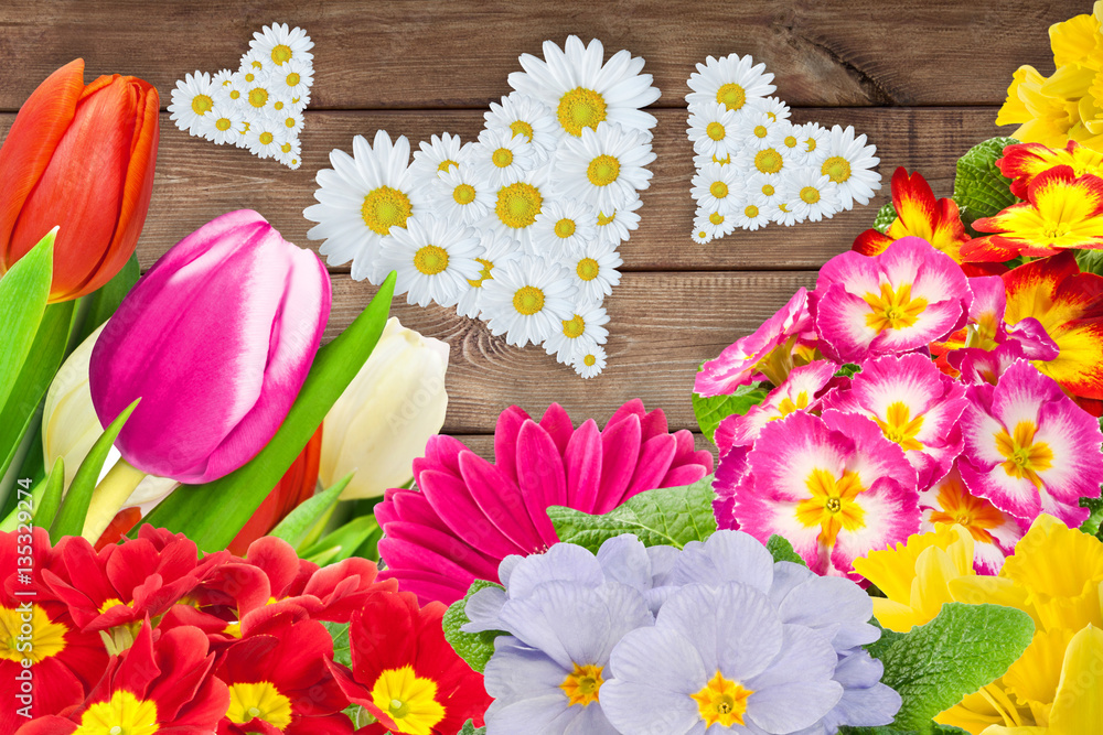 Fototapeta premium Springtime - flowers and hearts