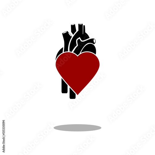 Love human heart icon vector