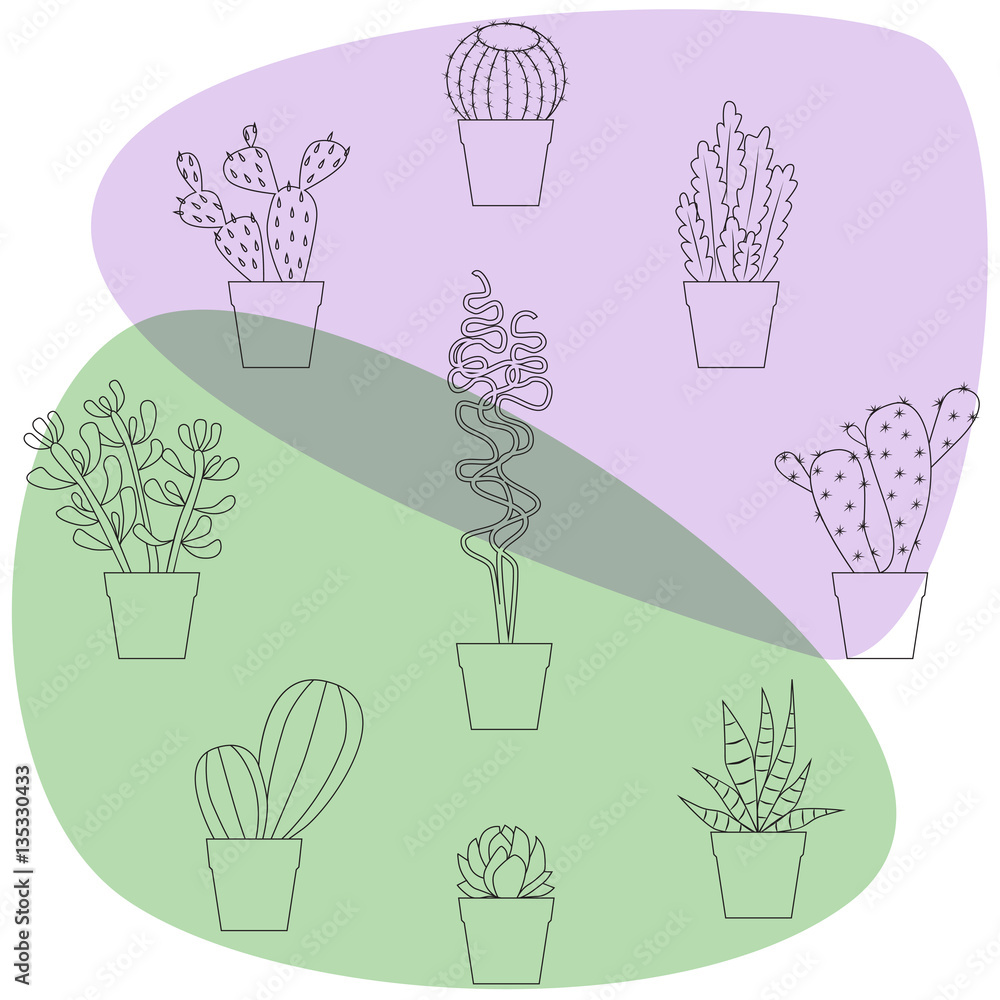 Cactus vector illustrations