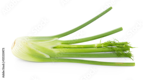 closeup fresh fennel bulb isolated on white background