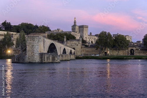 Pont d'Avignon - Avignon - France © mrallen