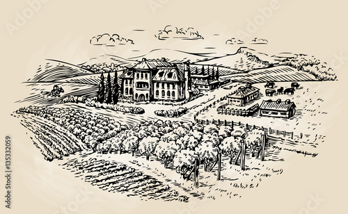 Farm sketch. Farming, agriculture, vineyard. Vector illustration