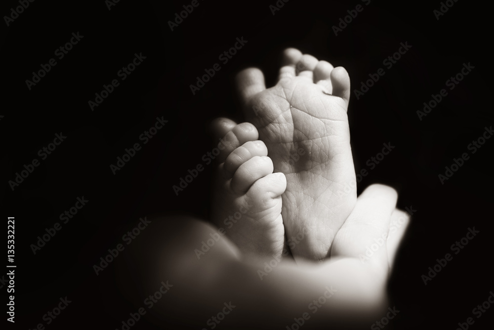 Fototapeta premium newborn baby feet on the fathers hands. black and white 