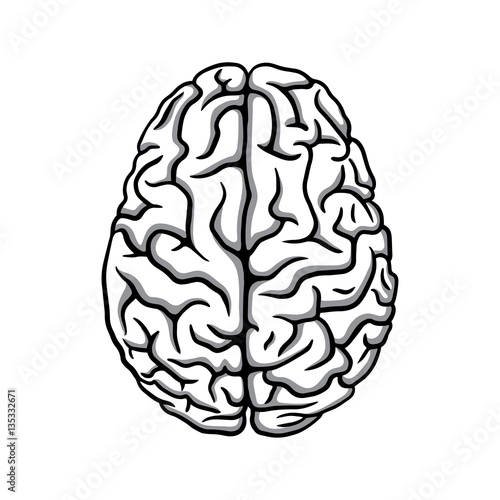 Black & white human brain illustration