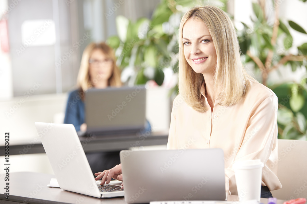 Professional businesswoman in the office Professional businesswoman in the office