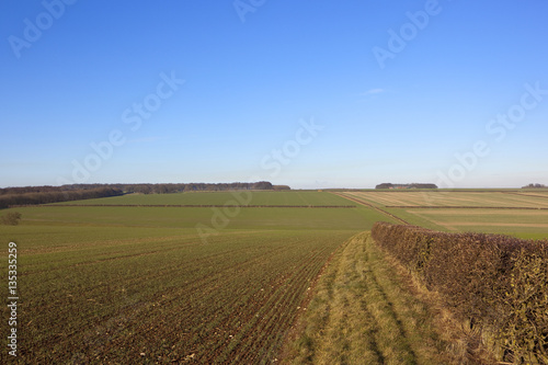 yorkshire wolds crops