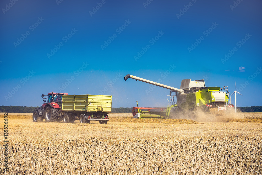 Fototapeta premium Mähdrescher auf Feld mit Traktor