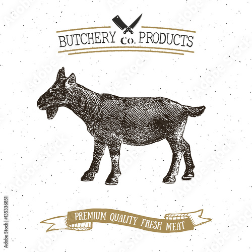 Butcher Shop vintage emblem goat meat products, butchery Logo template retro style. Vintage Design for Logotype, Label, Badge and brand design. vector illustration