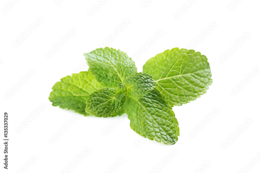 Fresh mint leafs isolated on a white Fresh mint leafs isolated on a white