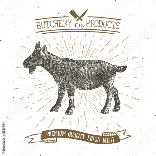 Butcher Shop vintage emblem goat meat products, butchery Logo template retro style. Vintage Design for Logotype, Label, Badge and brand design. vector illustration