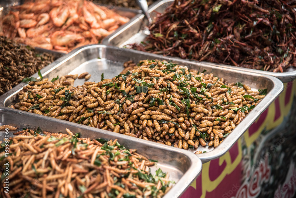 Thailand fried insects