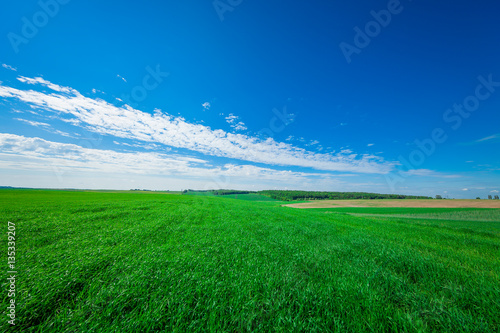 Green Field and Beautiful Sunset