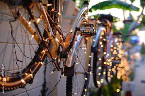 Wall decorated by retro bicycle with light and greenery