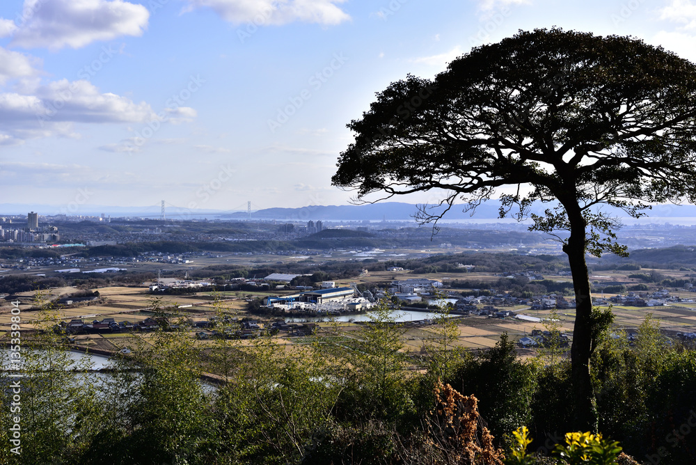 Obraz premium 田園と 明石海峡大橋の遠景