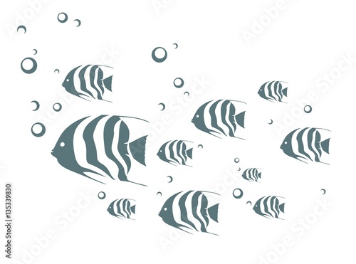 Fish in the water.