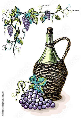 Watercolor bottle of wine in wicker basket and grape isolated on white in graphic style hand-drawn vector illustration.