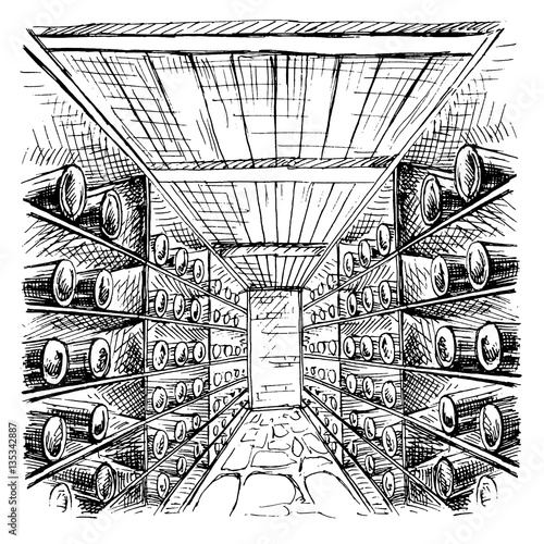 Wine cellar full of wine bottles in graphic style hand-drawn vector illustration