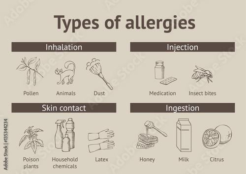 Types of allergies. Scheme