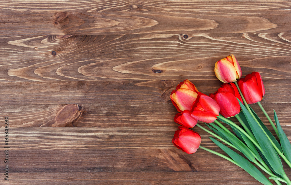 Seven tulips on a natural wooden background. Eco friendly.