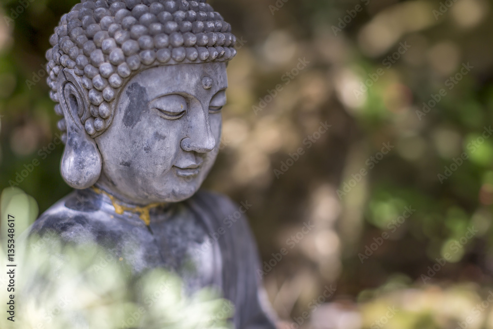 Budhha details, private garden