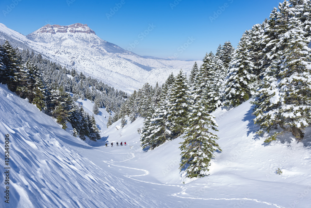 zirveye doğru yürüyen dağcılar & kış yürüyüşü