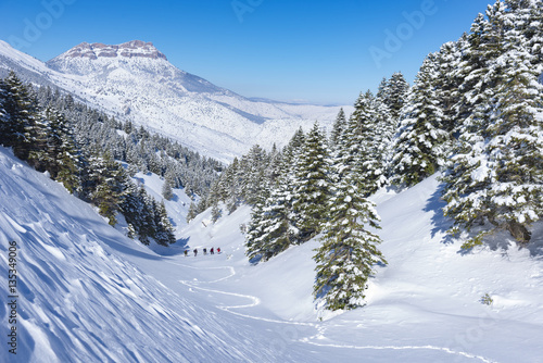 zirveye doğru yürüyen dağcılar & kış yürüyüşü © emerald_media