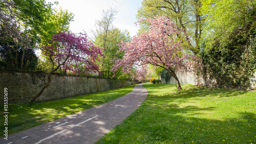 Soester Gräfte im Frühling