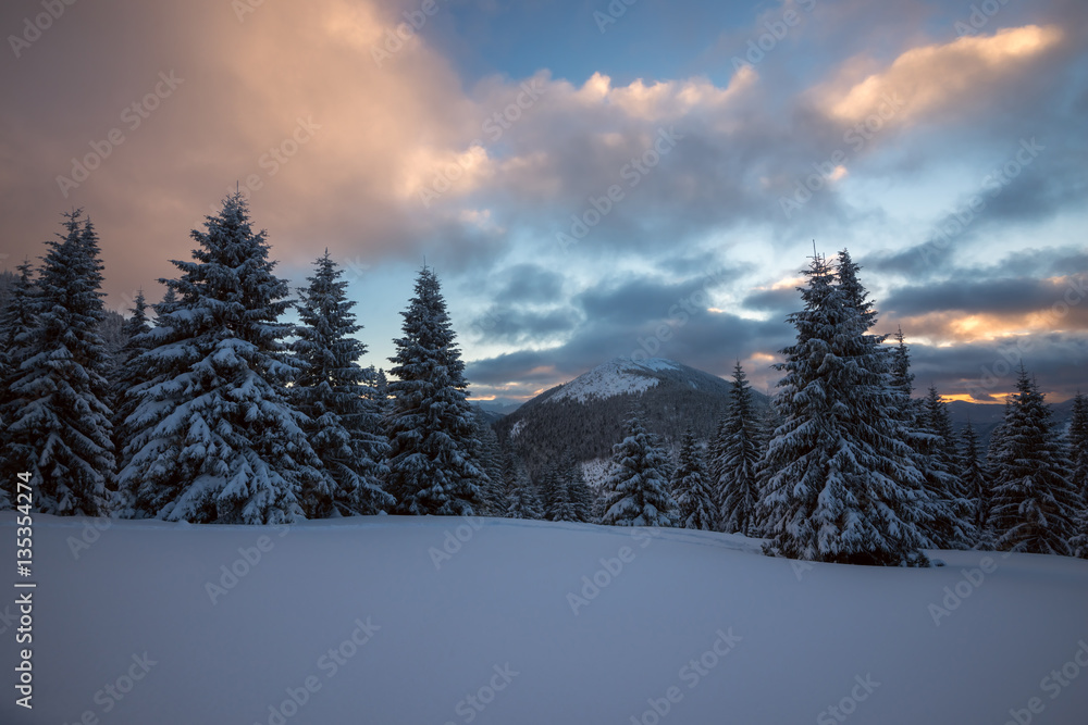 Dramatic winter landscape in the mountains