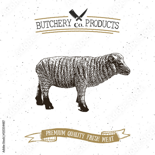 Butcher Shop vintage emblem lamb meat products, butchery Logo template retro style. Vintage Design for Logotype, Label, Badge and brand design. vector illustration.