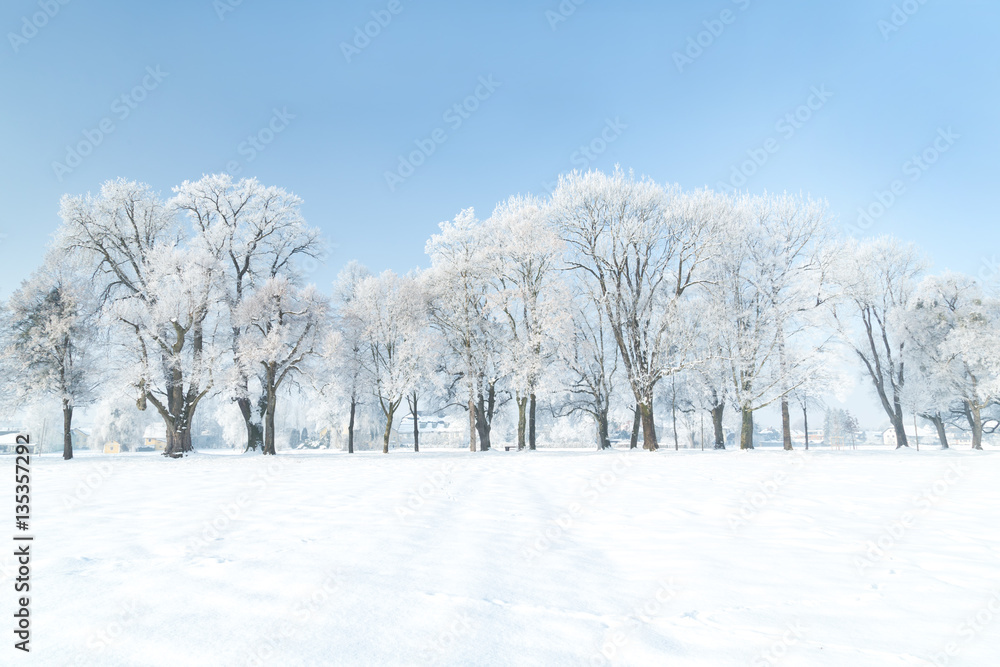 Verschneite Winterlandschaft Verschneite Winterlandschaft