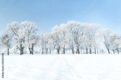 Verschneite Winterlandschaft © serkat Photography