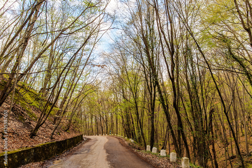 mountain road in Crimea mountain road in Crimea