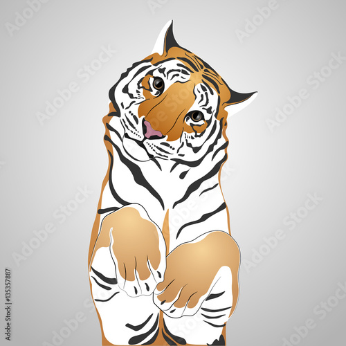 Cute tiger.